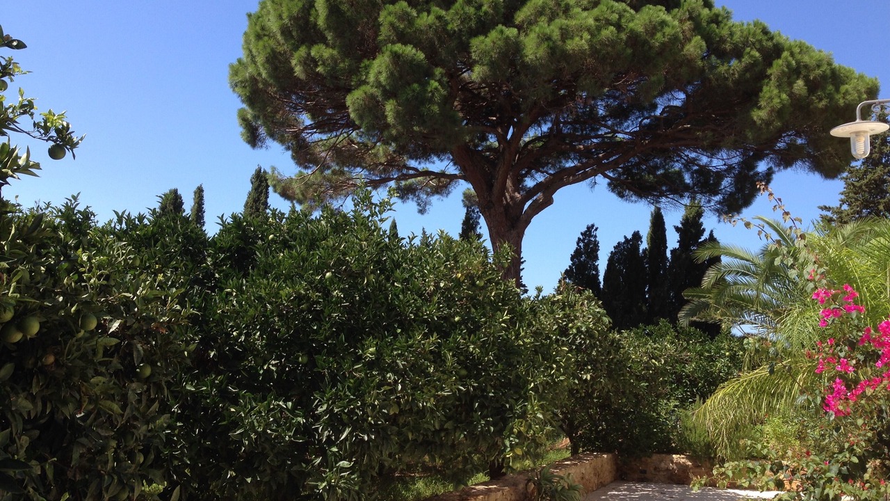Photo of Outdoor in Partinico
