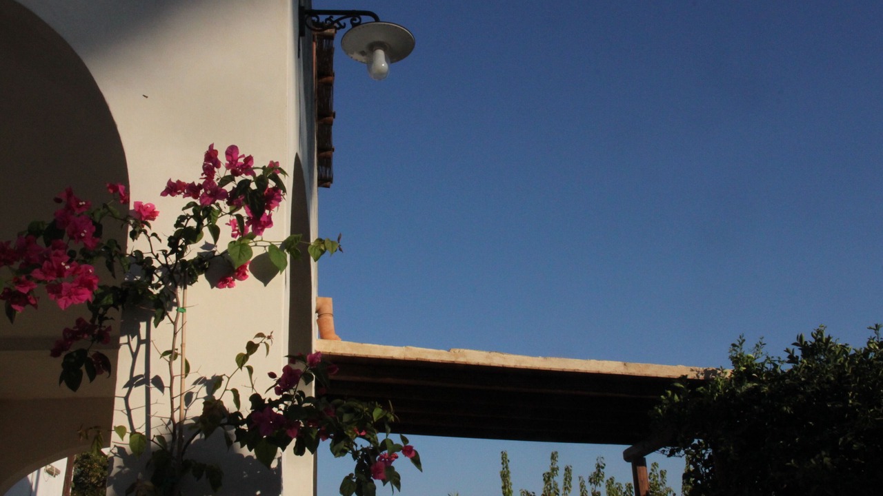 Photo of Outdoor in Partinico