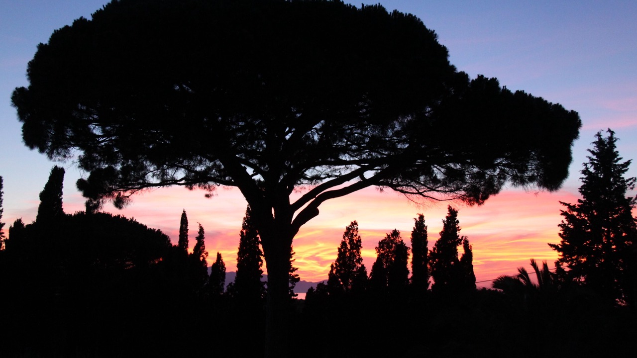 Photo of Outdoor in Partinico