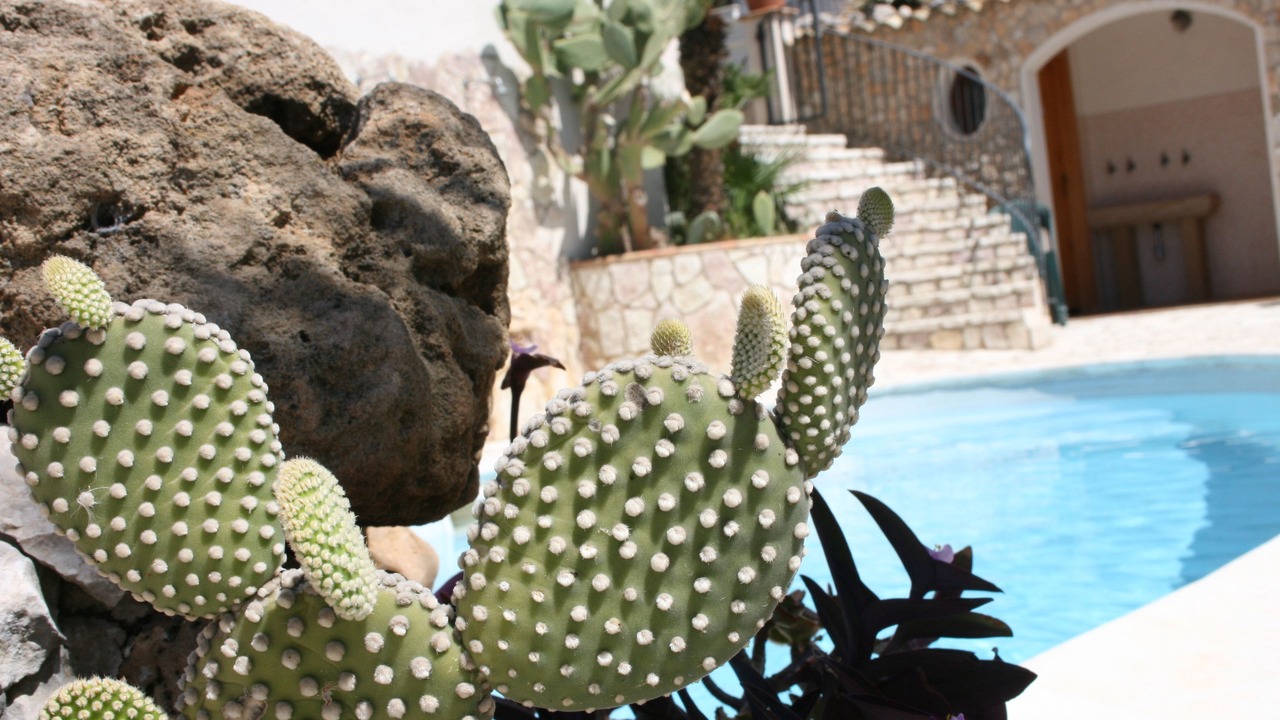 Photo of Outdoor in Custonaci