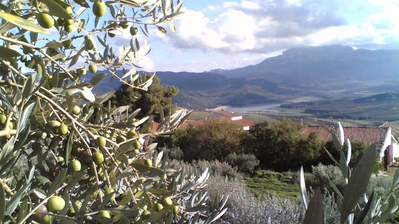 Photo of Others in Piana degli Albanesi