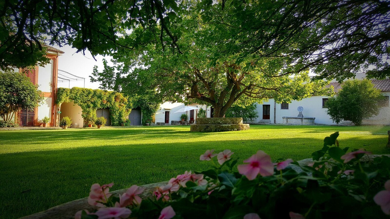Photo of Buildings in Piana degli Albanesi