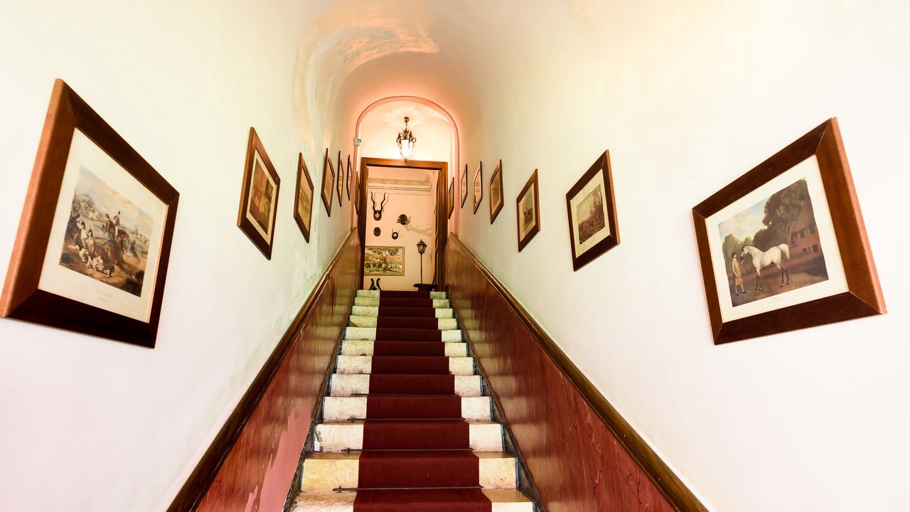 Photo of Others in Piana degli Albanesi