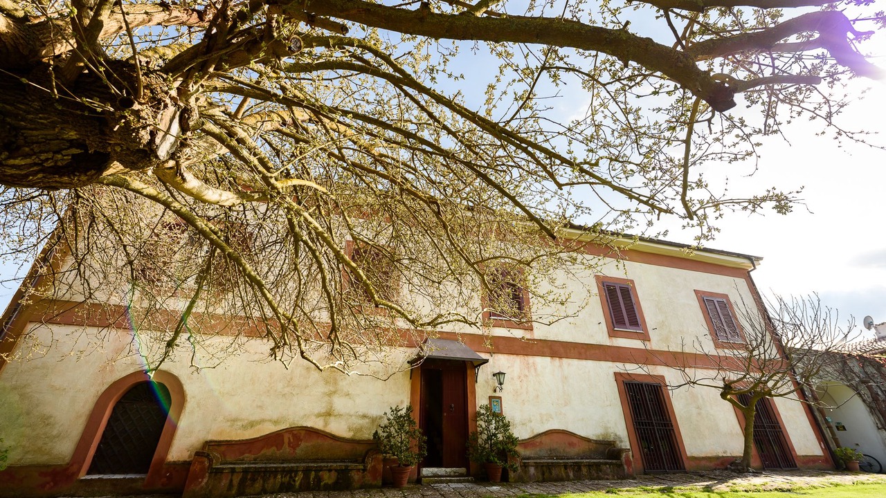 Photo of Others in Piana degli Albanesi