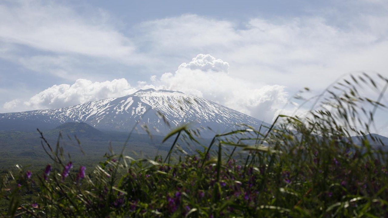 Photo of Outdoor in Motta Camastra
