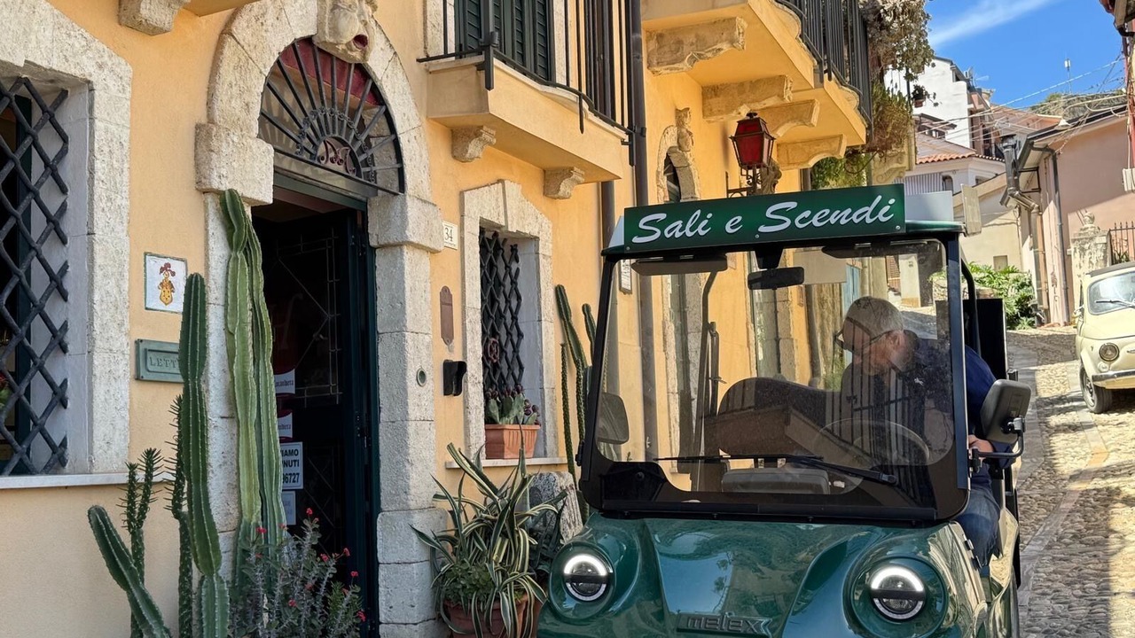 Photo of Others in Scilla