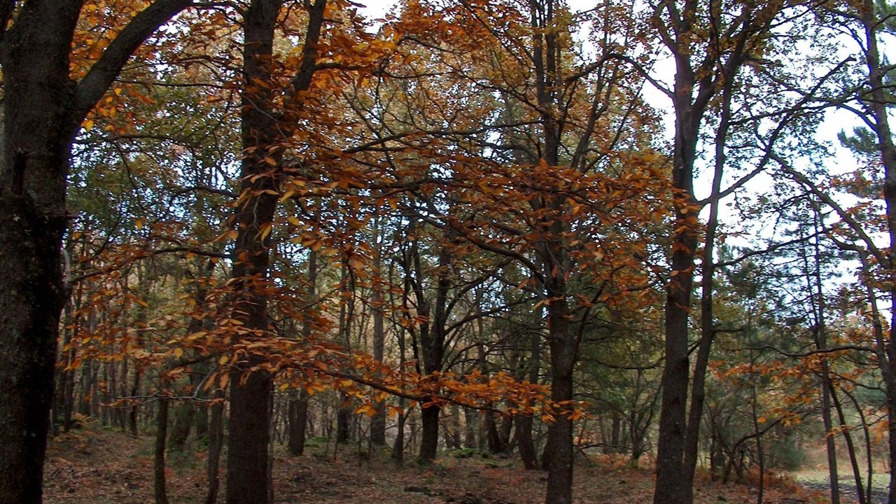Photo of Outdoor in Rovittello
