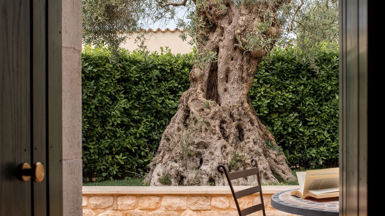 Photo of Patio Balcony in Cannizzara