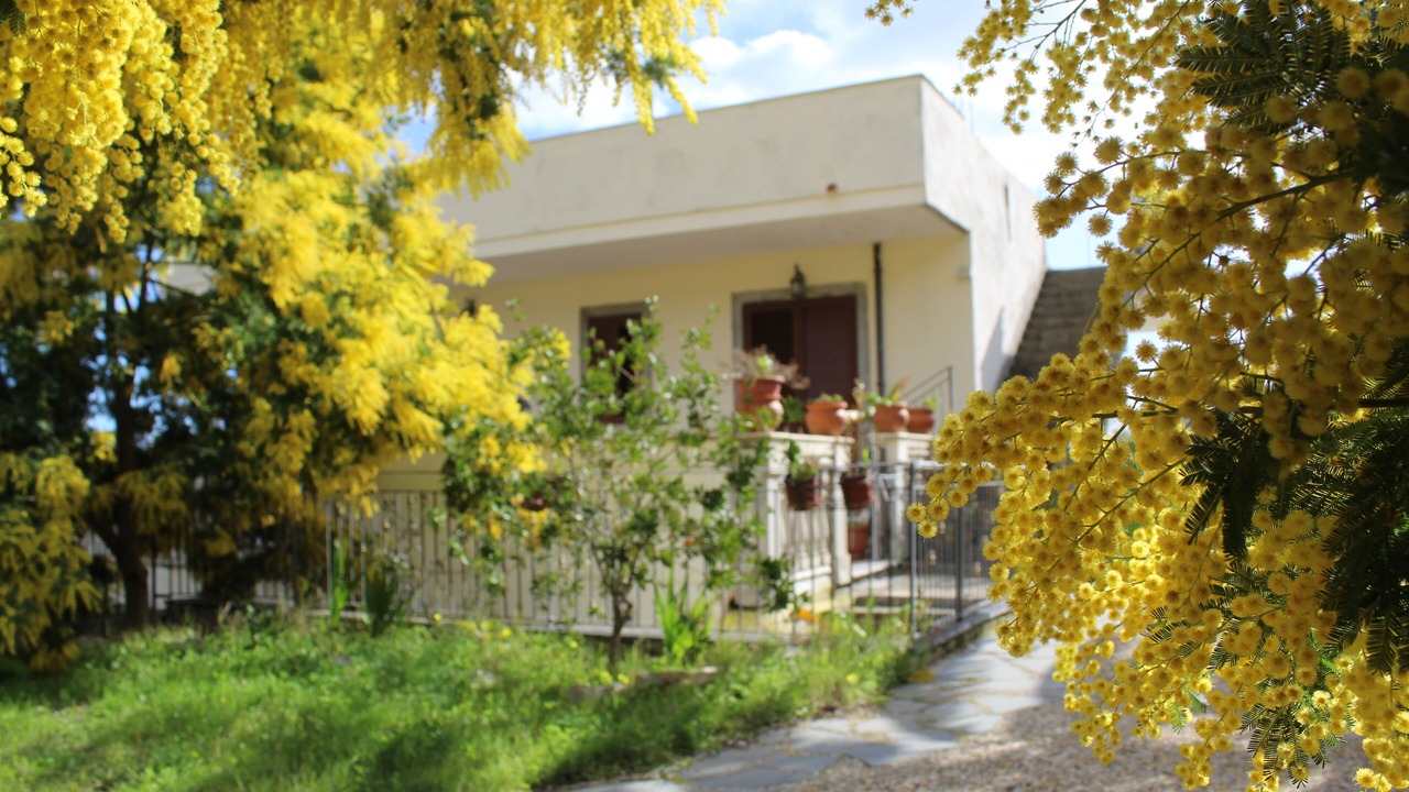 Photo of Outdoor in Savoca
