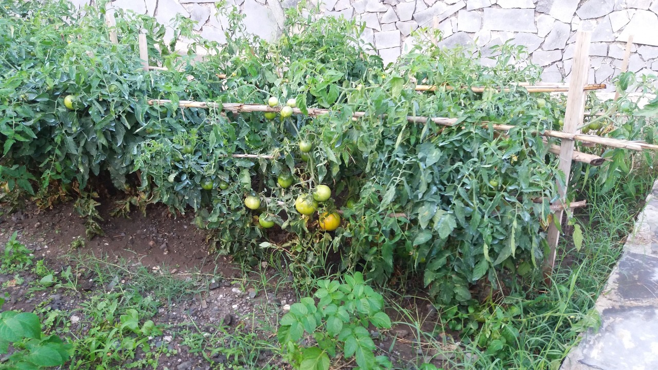 Photo of Outdoor in Savoca