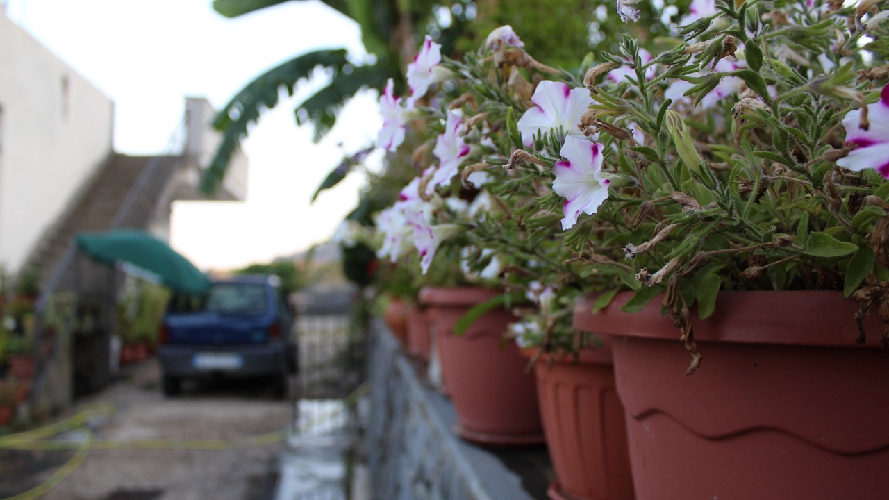 Photo of Outdoor in Savoca
