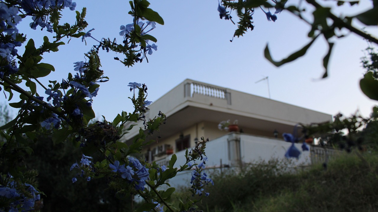 Photo of Outdoor in Savoca