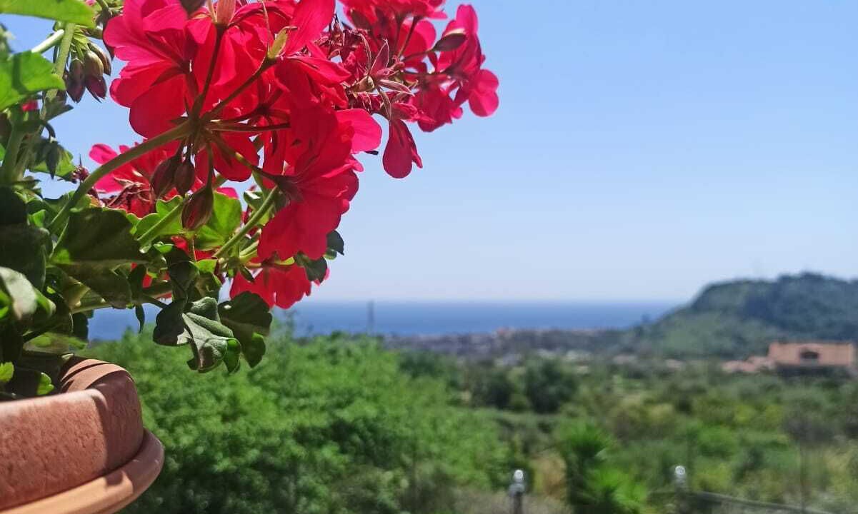 Photo of Others in Savoca