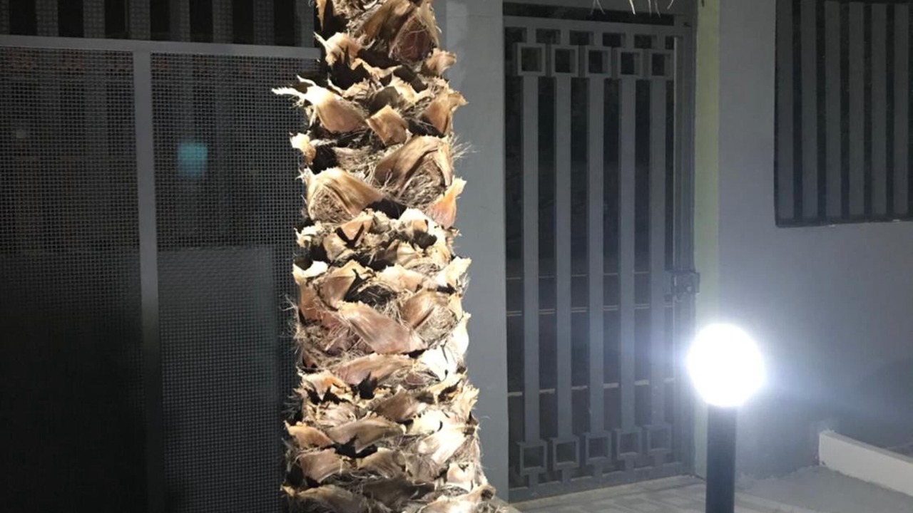 Photo of Outdoor in Contrada Pantano d'Arci
