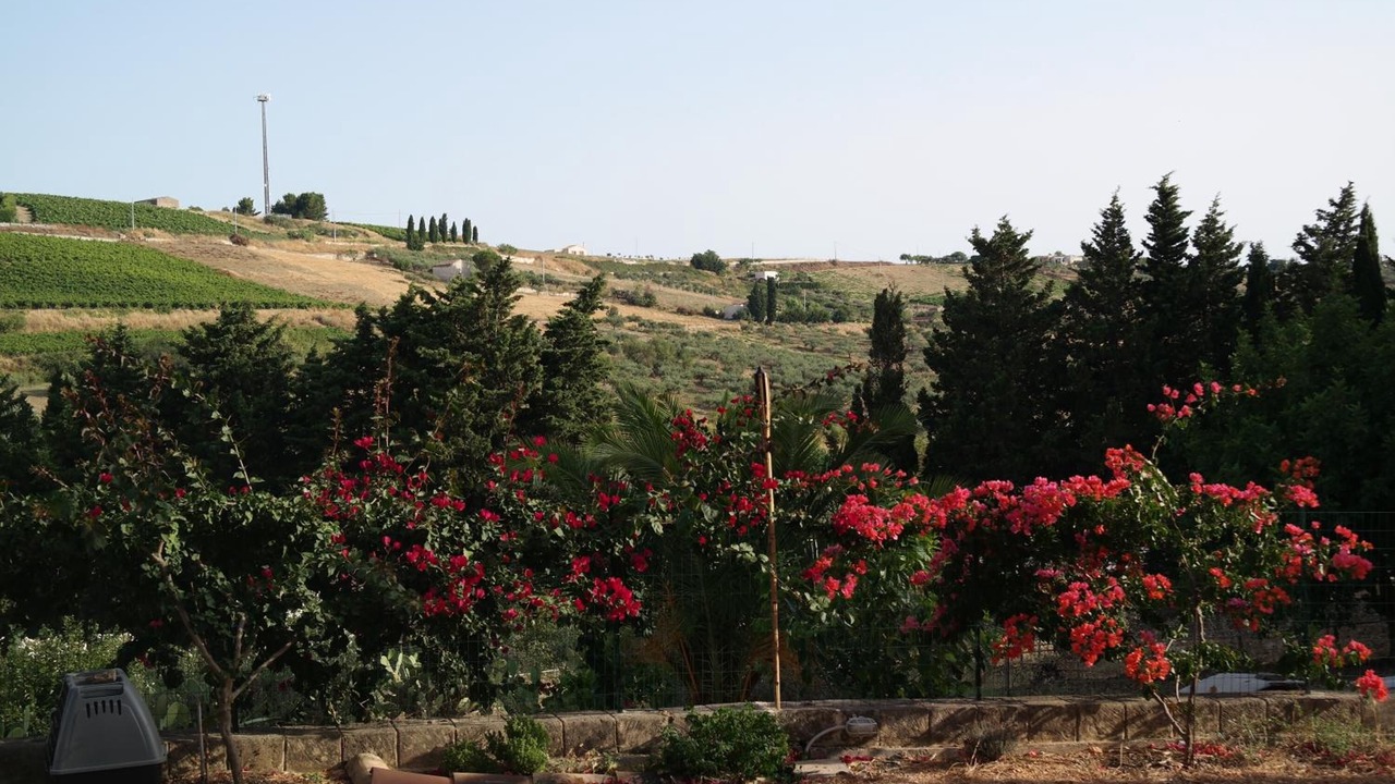 Photo of Outdoor in Santa Ninfa