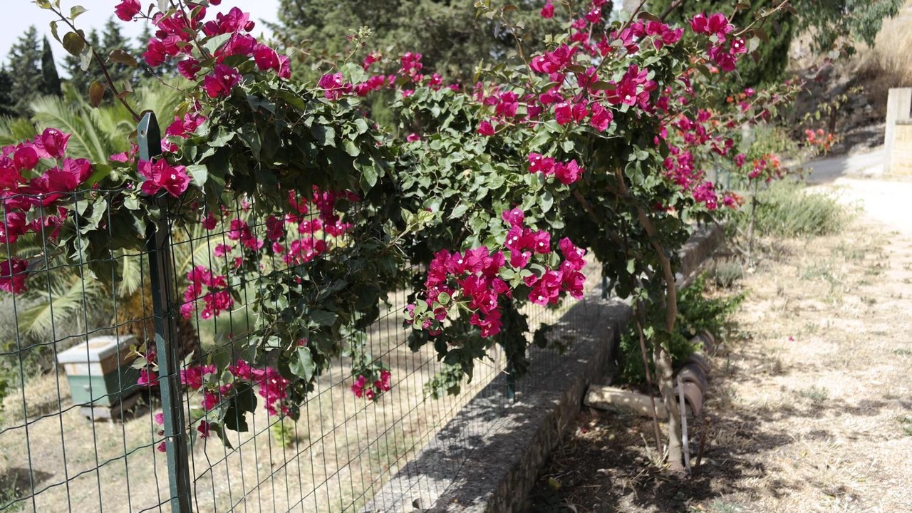 Photo of Outdoor in Santa Ninfa