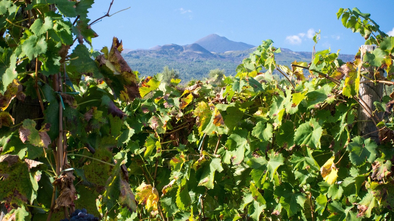 Photo of Outdoor in Castiglione di Sicilia