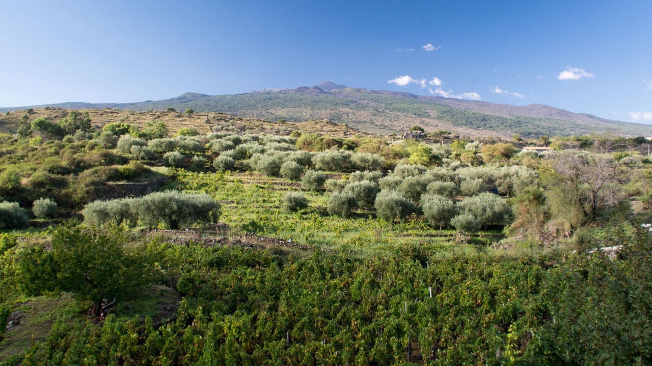 Photo of Others in Castiglione di Sicilia