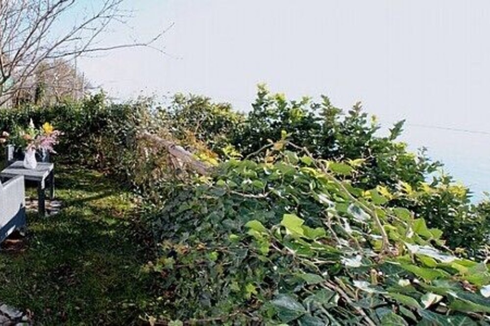 Photo of Outdoor in Nocelle