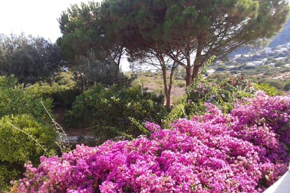 Photo of Outdoor in Filicudi Porto