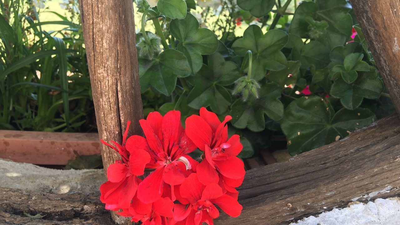 Photo of Outdoor in Gallina