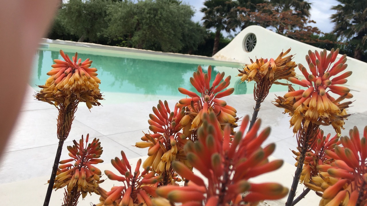 Photo of Outdoor in Gallina
