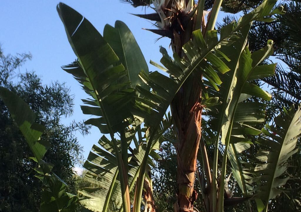 Photo of Outdoor in Santa Flavia