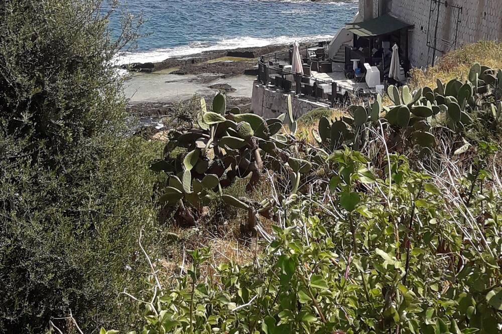 Photo of Others in Santa Lucia