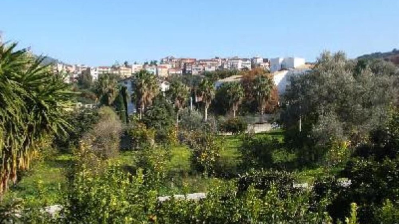 Photo of Outdoor in Capri Leone