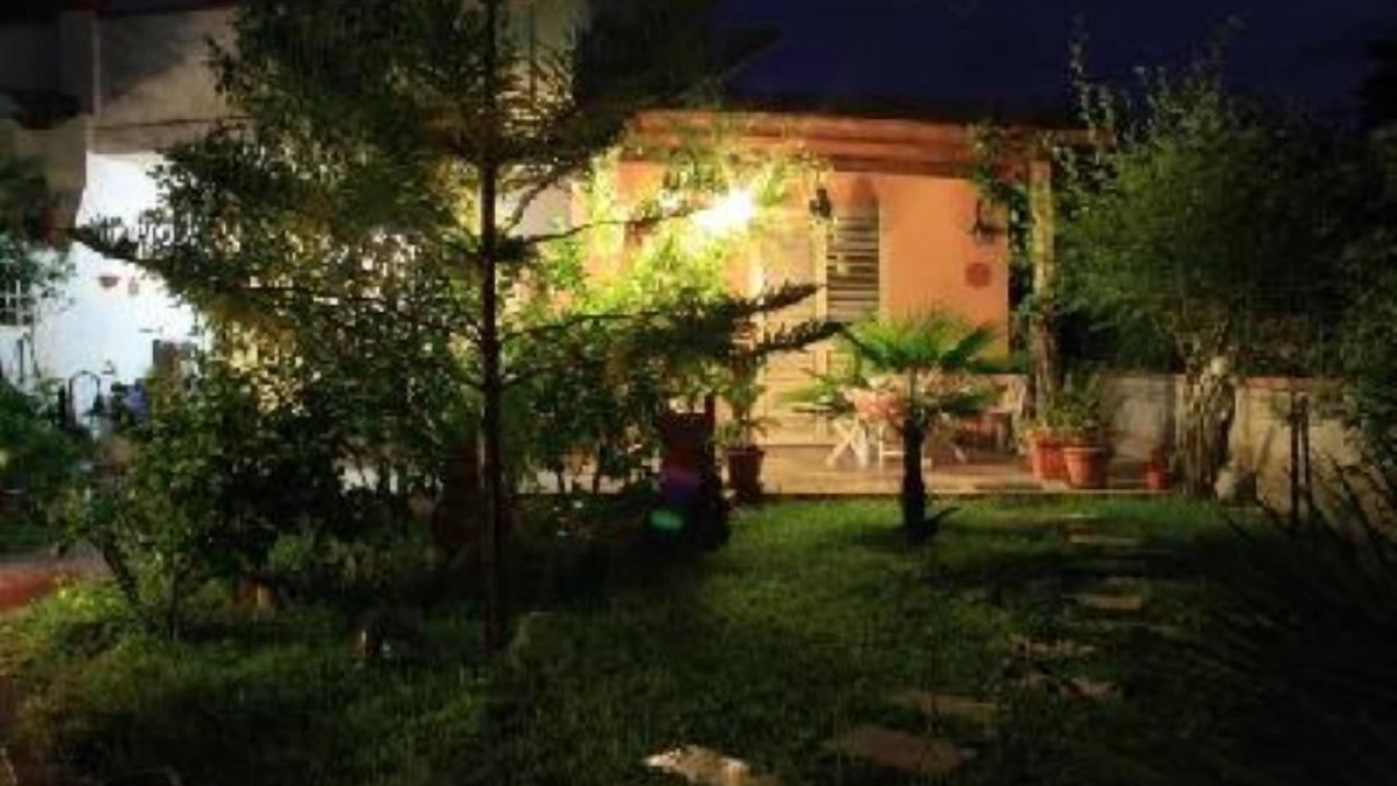 Photo of Outdoor in Patti