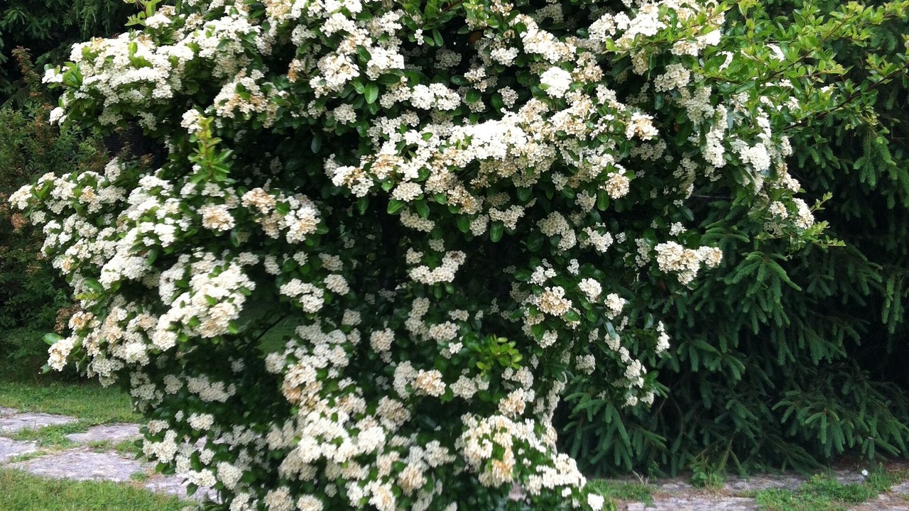 Photo of Outdoor in Tramonti