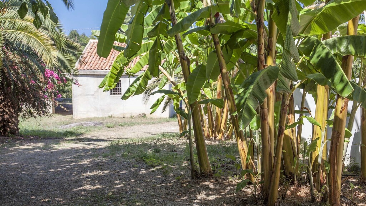 Photo of Outdoor in Sant'Agata di Militello