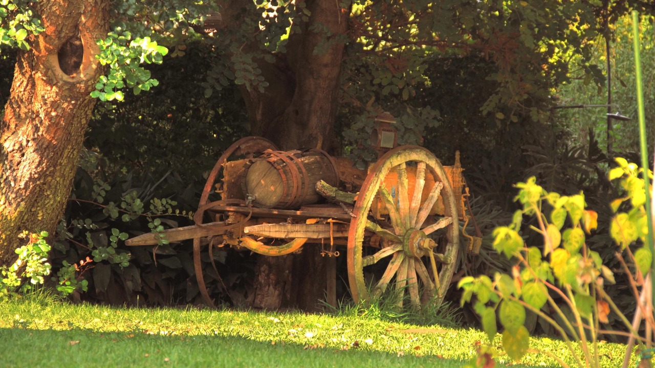 Photo of Outdoor in San Gregorio di Catania