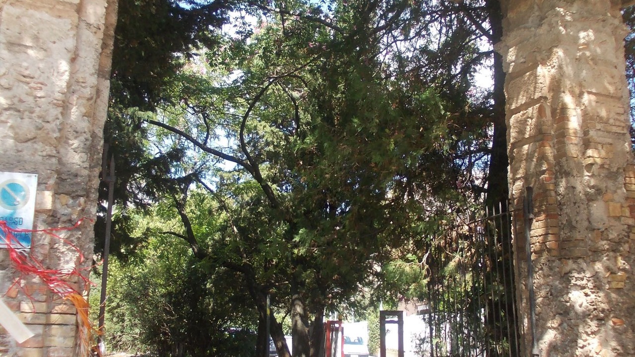 Photo of Outdoor in Partanna