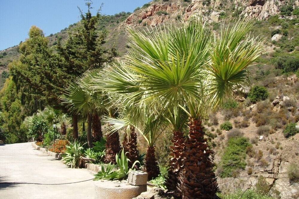 Photo of Outdoor in Pollina