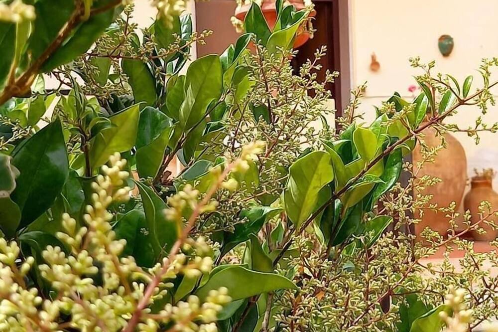 Photo of Outdoor in Marina di Patti