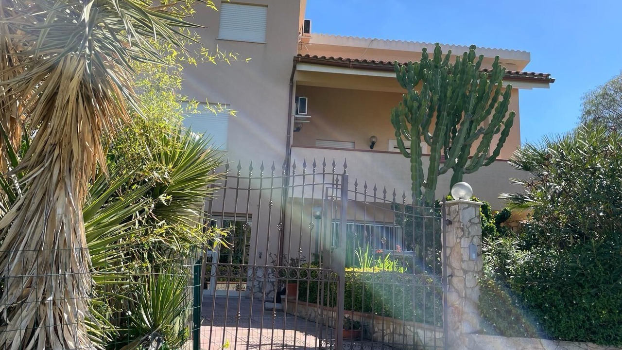 Photo of Outdoor in Mockarta