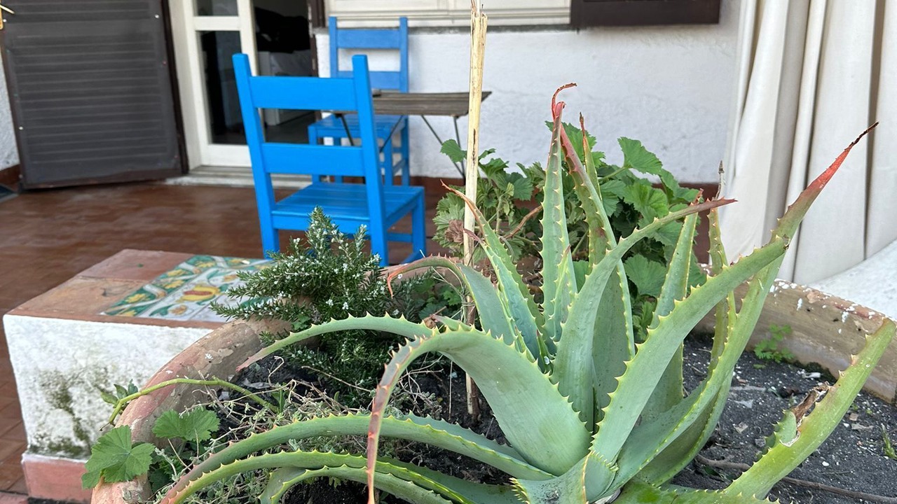 Photo of Patio Balcony in Vulcano Porto