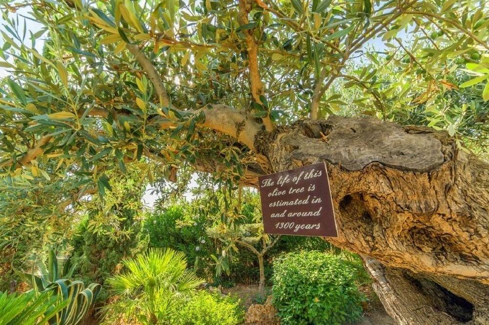 Photo of Outdoor in Menfi