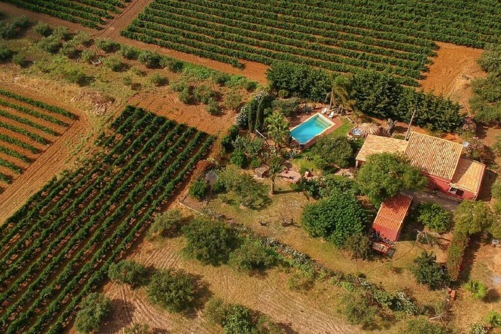 Photo of Outdoor in Menfi