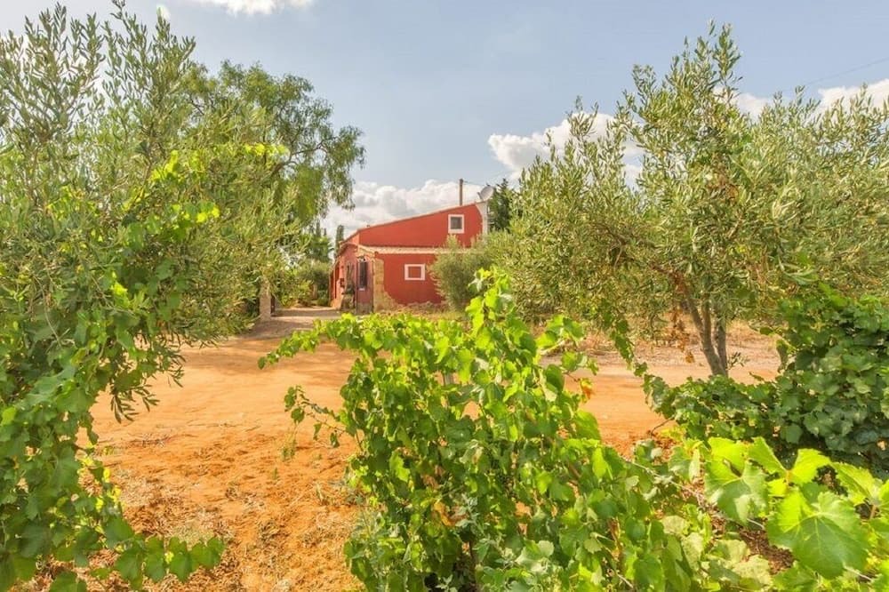 Photo of Outdoor in Menfi
