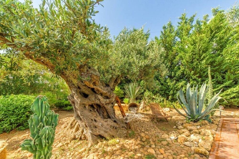 Photo of Outdoor in Menfi