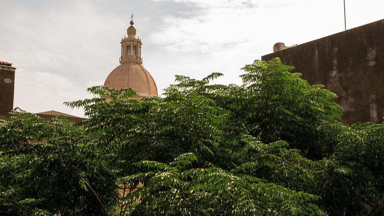 Photo of Outdoor in Catania City Centre