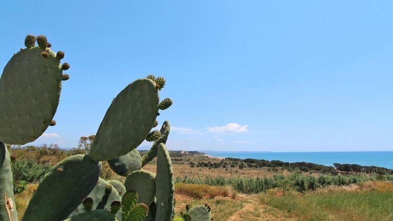 Photo of Outdoor in Marinella di Selinunte