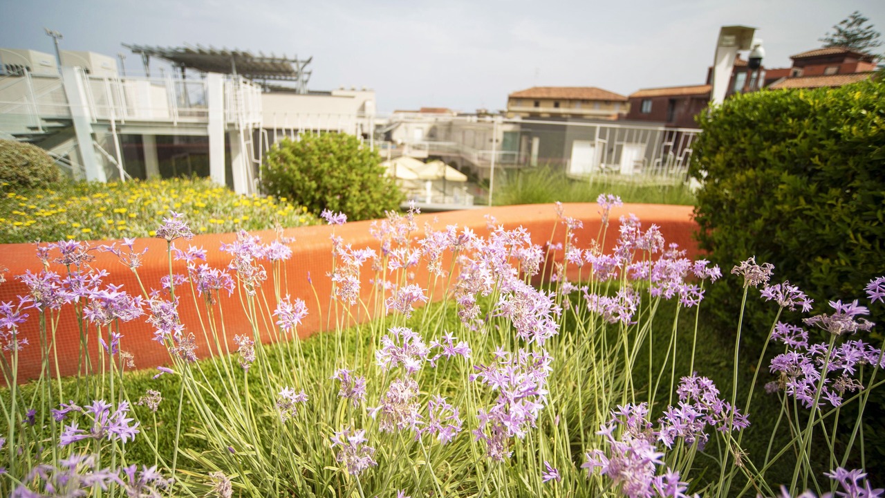 Photo of Outdoor in Aci Trezza