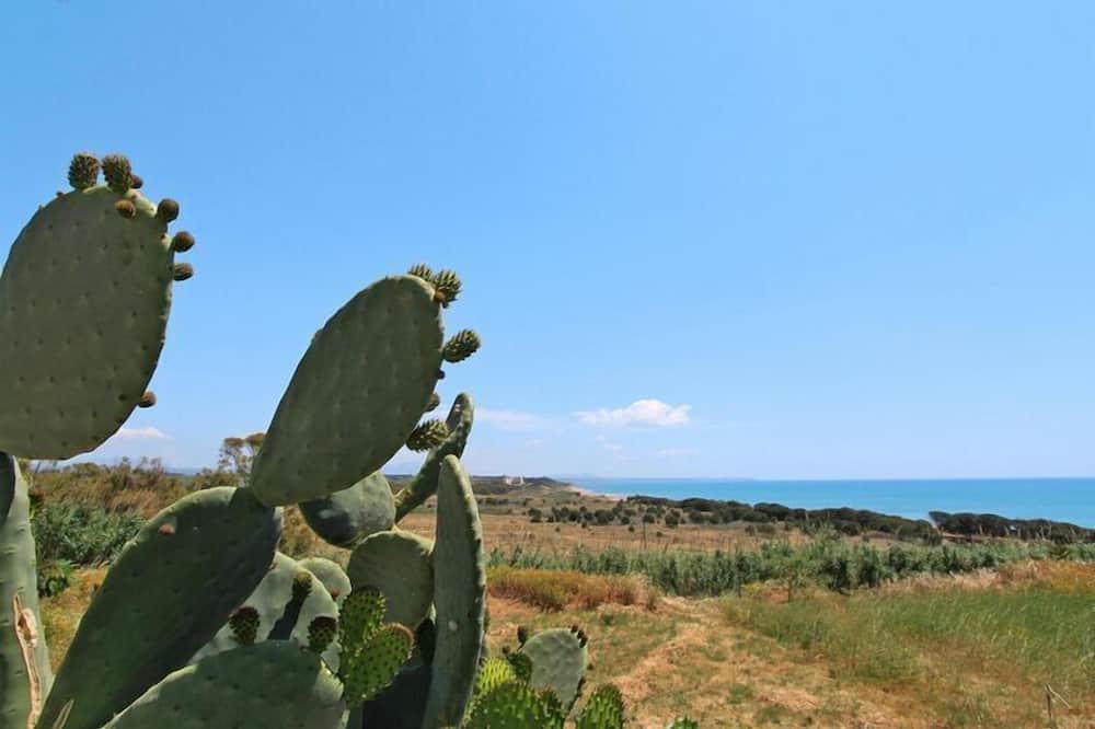 Photo of Others in Marinella di Selinunte