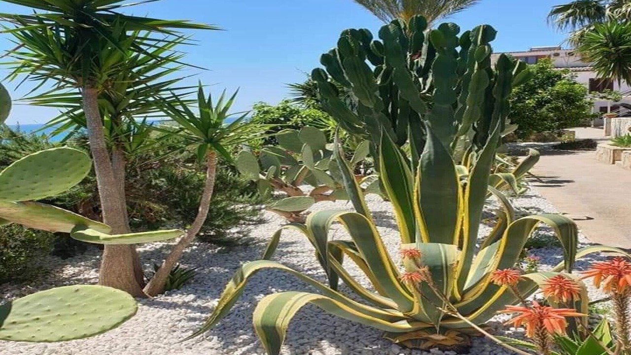 Photo of Outdoor in Marinella di Selinunte