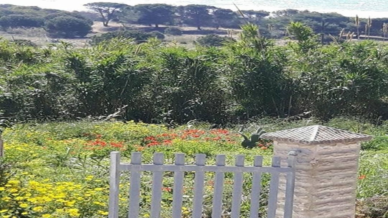 Photo of Outdoor in Marinella di Selinunte