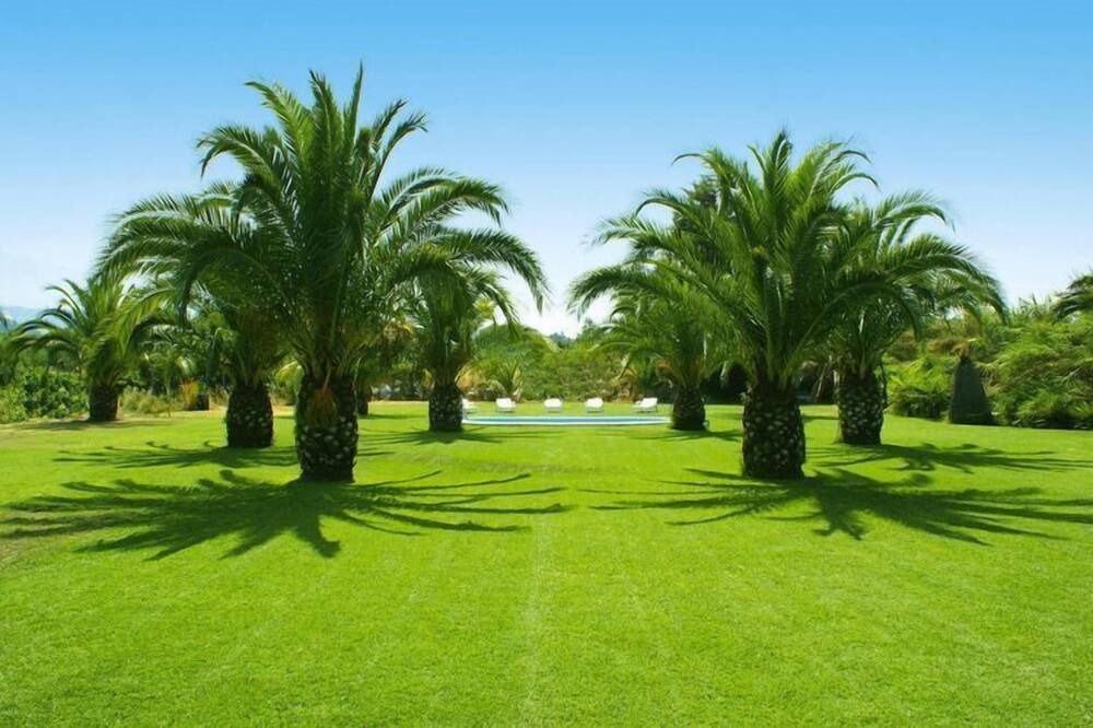 Photo of Outdoor in Rovittello