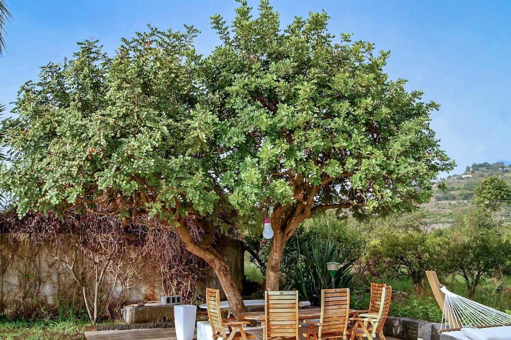 Photo of Outdoor in Macchia